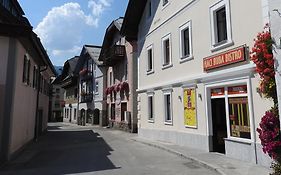 Saalfelden City Center